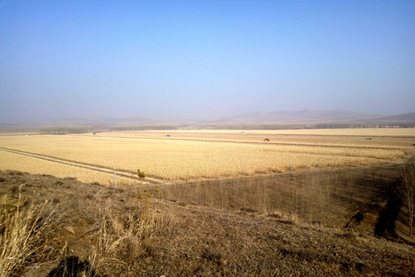 δ�������(qu��n)�|(zh��)Ѻ